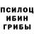 Псилоцибиновые грибы мухоморы Ira Maharramova