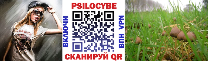 цена   Всеволожск  Псилоцибиновые грибы MAGIC MUSHROOMS 