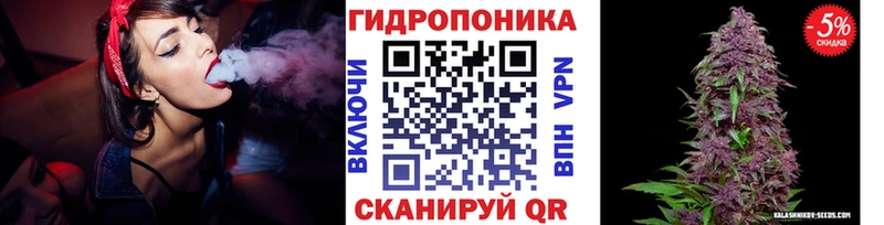 Конопля сатива нарко площадка какой сайт Всеволожск